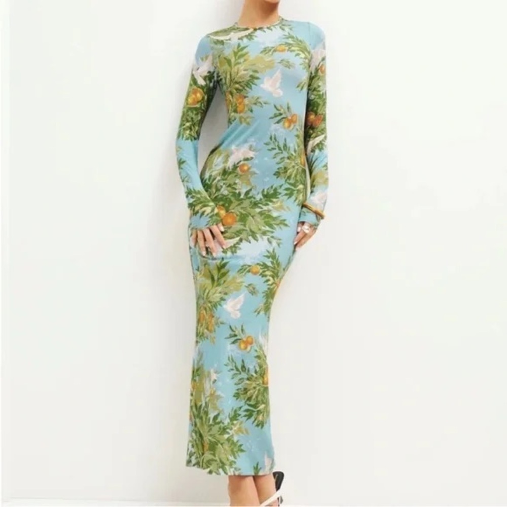 Reformation Floral Long Sleeve Maxi Dress